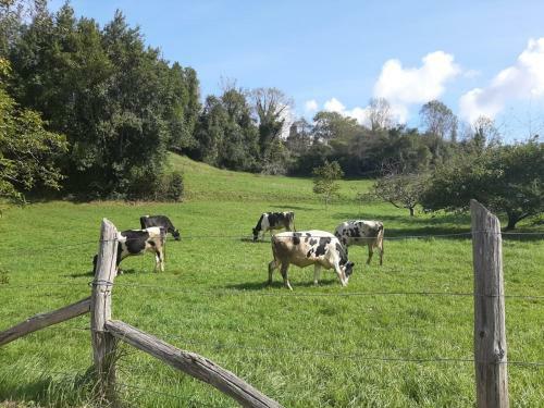 Agroturismo Casa Tenada