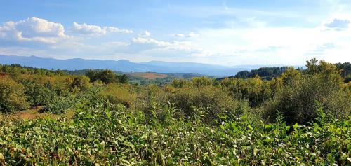 Chalet Santa Teresa - Ponferrada (El Bierzo, Le�n)