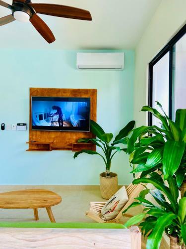 Apartamento Coquillage A