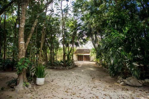 Villa Natural Cancun