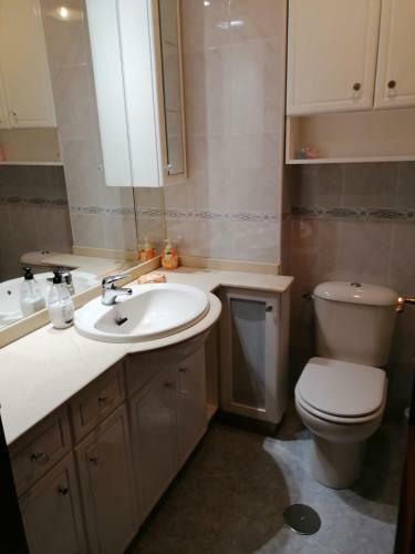 Apartamento Piso As Camelias