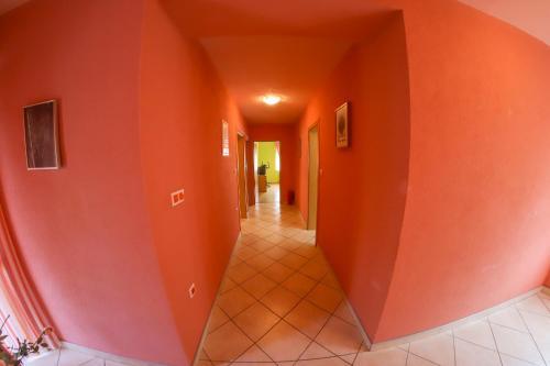Apartments Crvena Jabuka 1