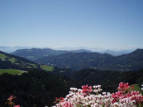 Hostal Gasthof Gutmann