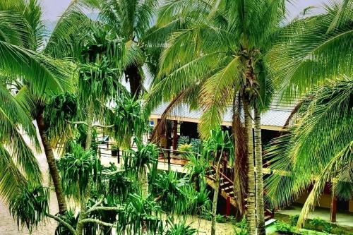 Hotel Club Fiji Resort