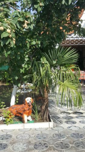 Paradise Villa