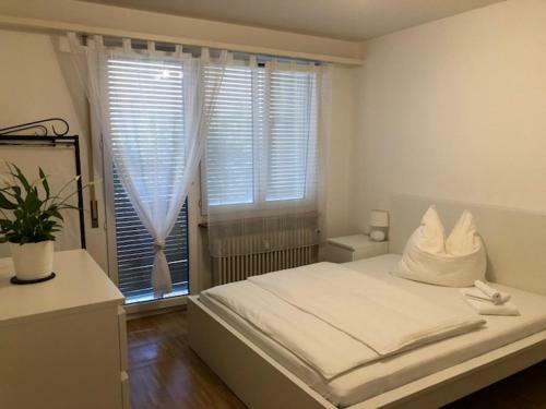 Luxury Black-white Room