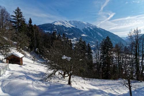 Apartamento Landhaus Tenne