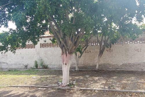 Apartamento El Coraz�n De Celaya