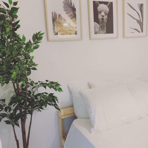 Apartamento Marco Pe�ismar