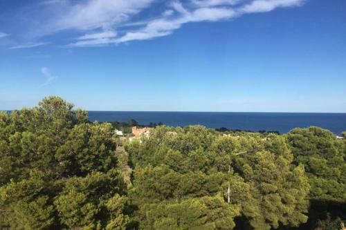 Apartamento En Arcos de Font Nova (4-6)