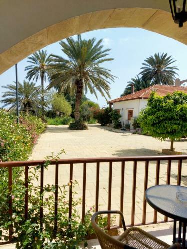 Hostal Golden Palms Guest House & Cafe