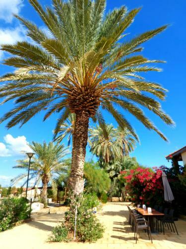Hostal Golden Palms Guest House & Cafe