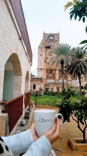Hostal Golden Palms Guest House & Cafe