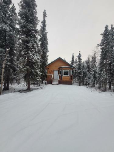 Muskrat Cabin, Private, Entire Cabin, Free Wifi