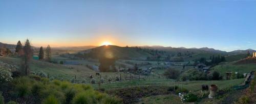 Bed & Breakfast Wake Field Views