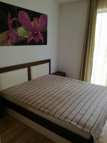 Apartament Zlatina1