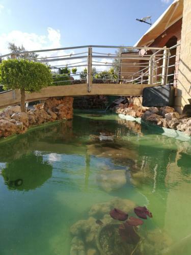 Villa Vega