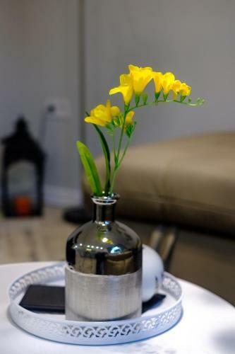 Apartamento The Olive Green House