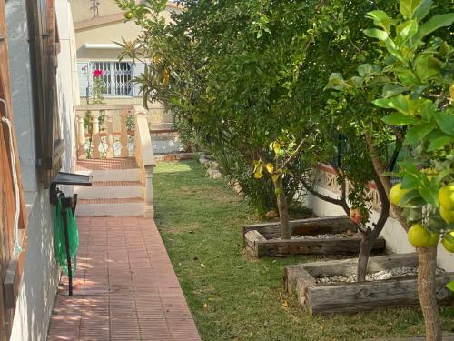 Nova Pe�iscola Fincas Van Camp