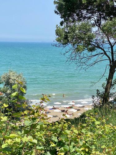 Sea Garden One Bed Apartment