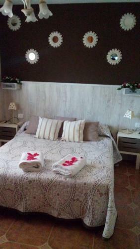 Casa Tambor