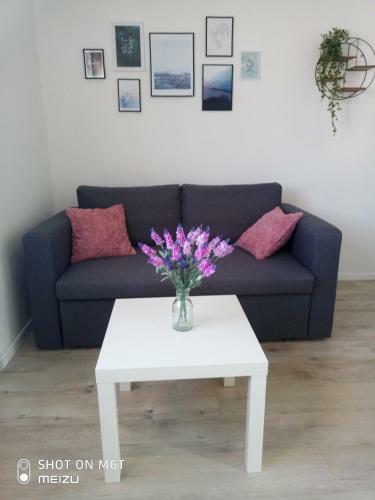 Apartmani Darko