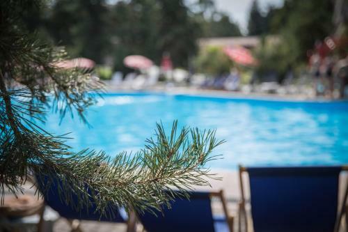 Hotel Alpen Ville