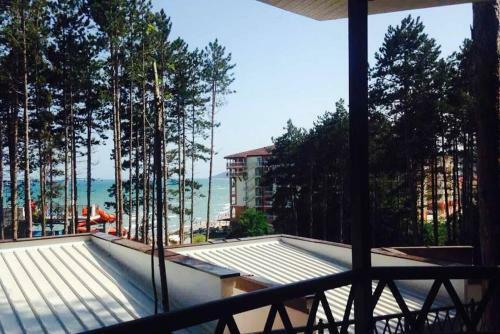 Dream View
