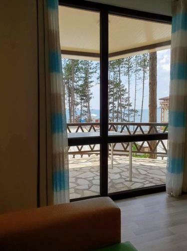 Dream View
