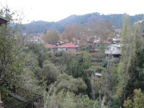 Irene's House