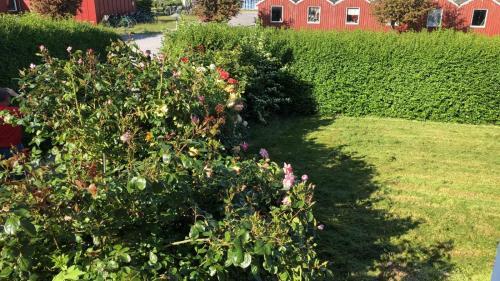 Schl�sschen Am Meer