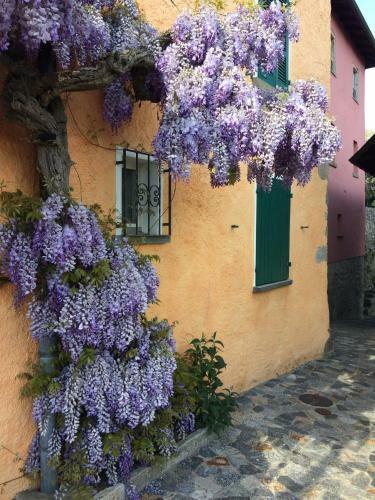 Casa Al Vento