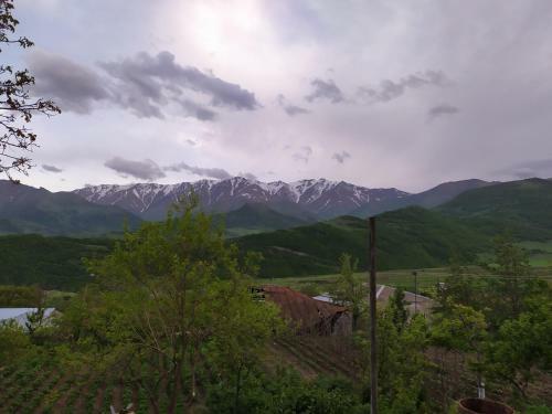 Bed & Breakfast Ana-maria Bnb
