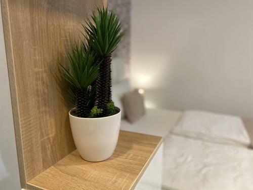 Hostal Apartments & Rooms Mostar Story