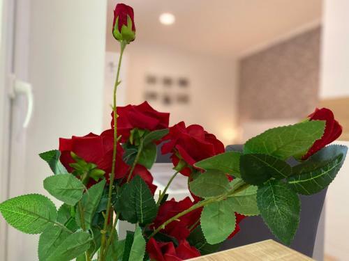 Hostal Apartments & Rooms Mostar Story