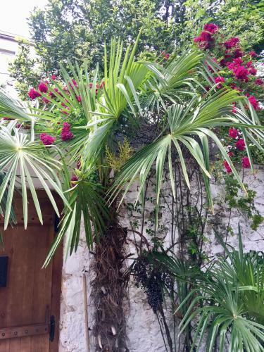Apartamento Palmera