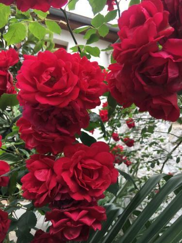 Apartamento Palmera