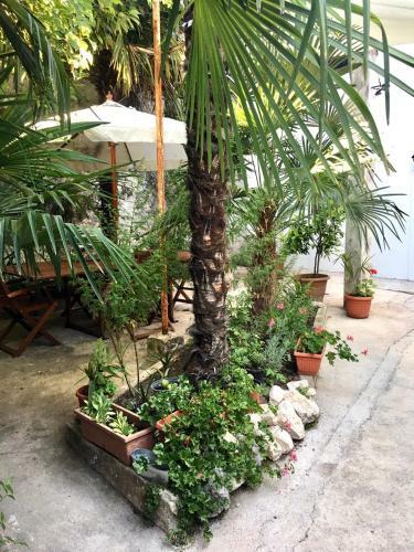 Apartamento Palmera