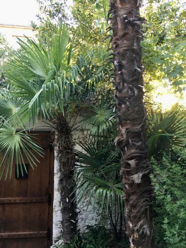 Apartamento Palmera
