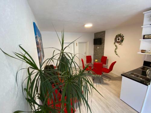 Galaxy Apartment