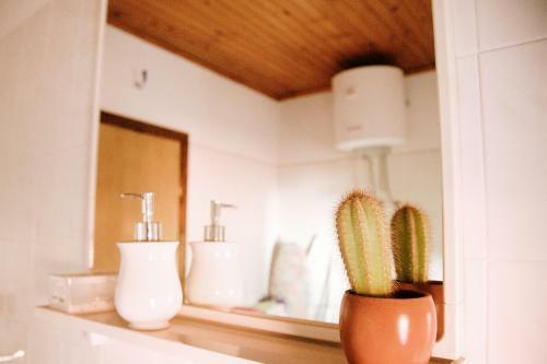 Apartment Ikar