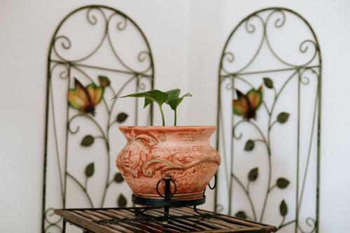 Apartment Ikar
