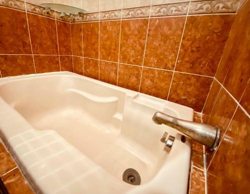 Vista M�gica Chetumal