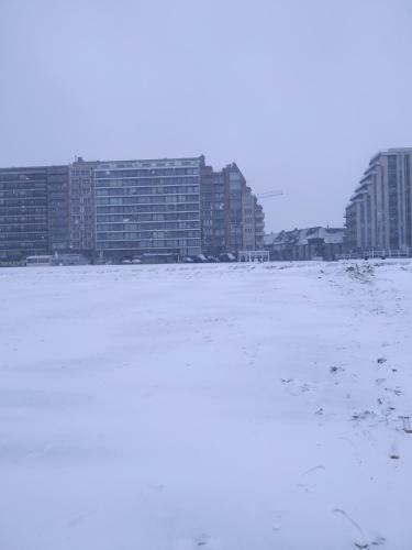Apartamento Appartement Blankenberge Zeedijk