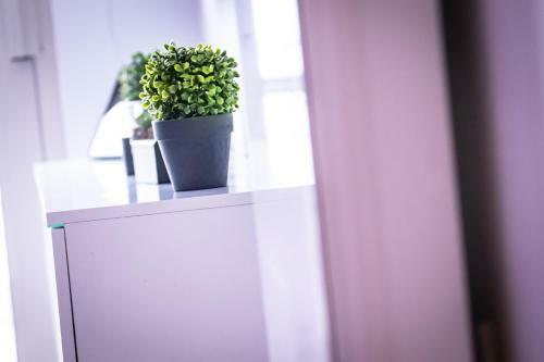 Apartamento Penthouse Seaview
