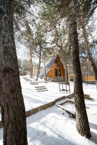 Hotel Woodland Cottages