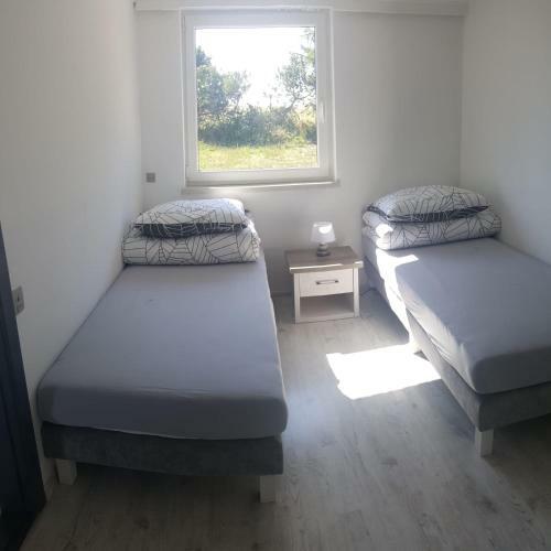 Apartamenty Molle