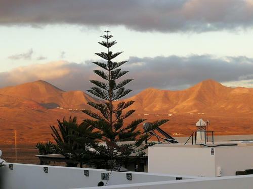 Apartamento Alma