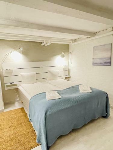 Hostal Aday - Aalborg Mansion Elegant Room