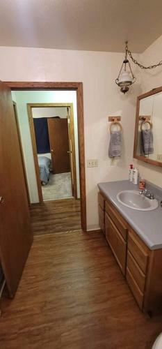 Whole Home, Airstrip/float Access, Aurora Viewing!